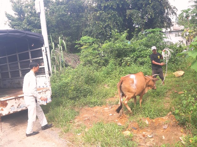 Tại phường hòa Hiệp Nam