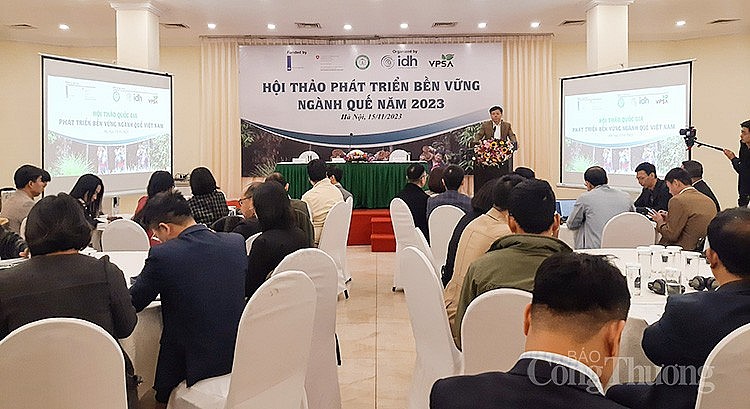 Hội thảo Phát triển bền vững ngành quế Việt Nam năm 2023 do Bộ Nông nghiệp và Phát triển Nông thôn phối hợp với các đơn vị tổ chức sáng ngày 15/11.