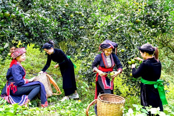 Nhiều nỗ lực phát triển kinh tế và giảm nghèo của Việt Nam được ghi nhận