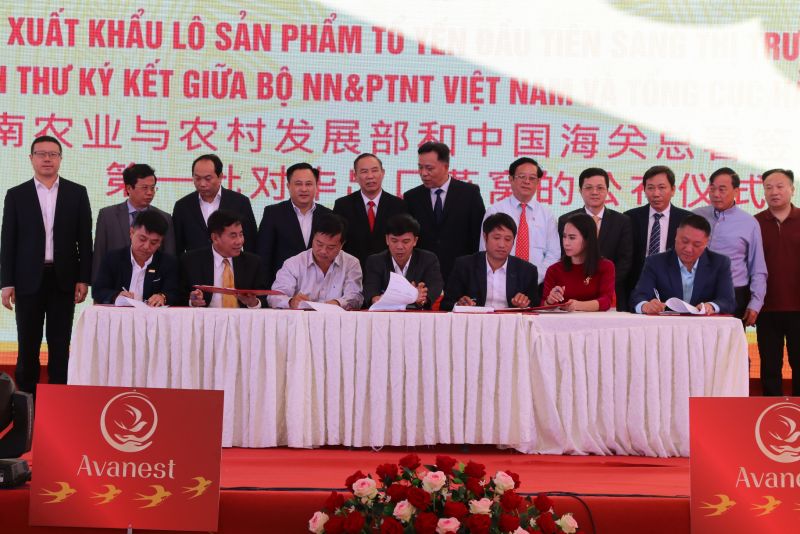 Công ty Cổ phần Dinh dưỡng AVANEST Việt Nam ký kết cung cấp sản phẩm tổ yến với các đối tác phía Trung Quốc tại lễ công bố