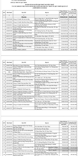 Danh s&aacute;ch c&aacute;c đơn vị, c&aacute; nh&acirc;n nợ thuế. Ảnh chụp qua m&agrave;n h&igrave;nh.