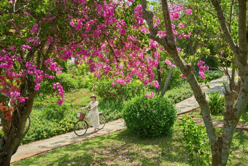 Ngoài ra, tại Fleur de Lys Resort & Spa Long Hải còn có các hoạt động ngoài trời đa dạng đang chờ đón bạn.