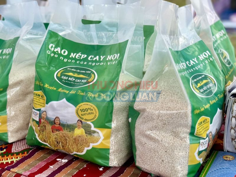 Sản phẩm gạo nếp Cay nọi xuất xứ từ tỉnh Thanh Hóa đang được người tiêu dùng ngày càng ưa chuộng