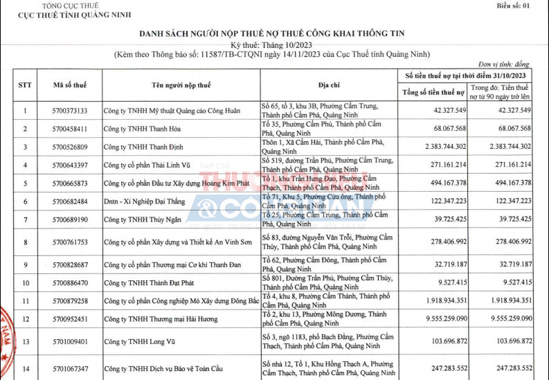 Công ty TNHH Thương mại Hải Hương liên tục bị Cục thuế Quảng Ninh 