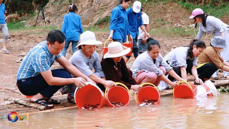 Lễ thả giống tái tạo nguồn lợi thủy sản năm 2023 tại huyện Quan Hóa