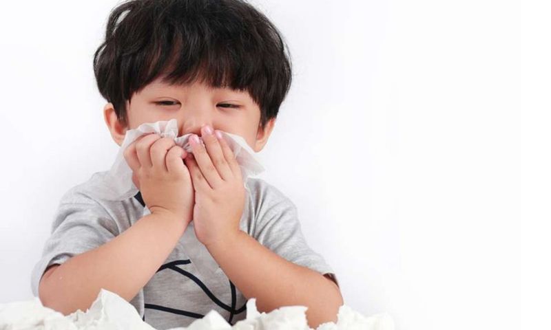 Sở Y tế TP. Hồ Chí Minh thông tin về bệnh nhiễm khuẩn hô hấp ở trẻ em