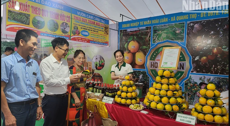 Gian hàng trưng bày sản phẩm cam của huyện Can Lộc tại Lễ hội Cam.