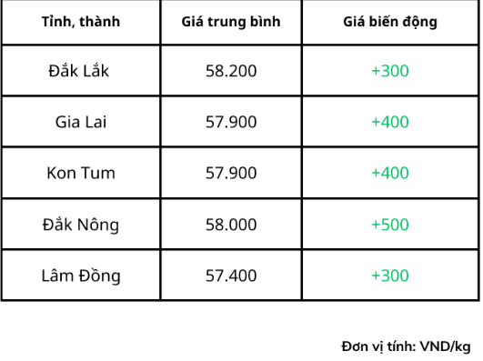 Giá cà phê trong nước hôm nay 25/11