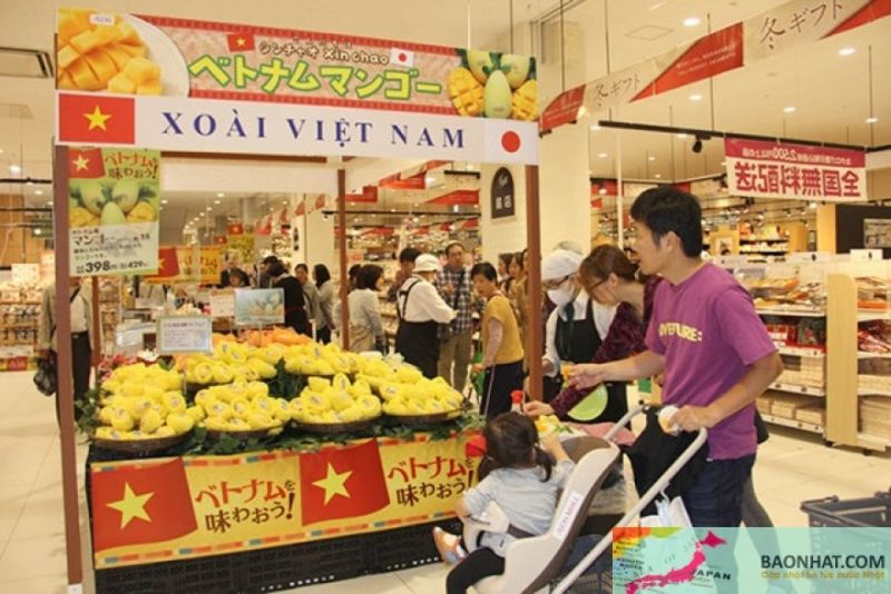 Xoài Việt Nam ở siêu thị Nhật Bản. Ảnh Báo Đầu tư.