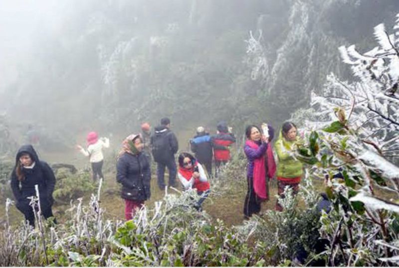 Mùa đông năm nay có nền nhiệt cao hơn trung bình nhiều năm