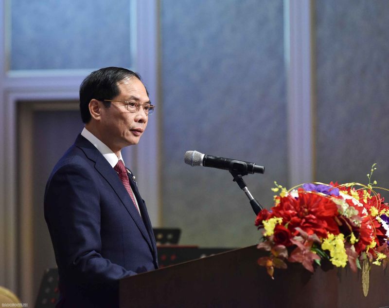 Bộ trưởng Ngoại giao Bùi Thanh Sơn cho rằng, sự phát triển của quan hệ Việt Nam - Nhật Bản không chỉ đem lại lợi ích cho hai dân tộc, mà sẽ góp phần thúc đẩy hòa bình, ổn định và phát triển ở châu Á và trên thế giới.