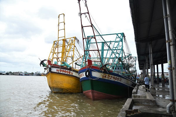Kiểm soát 100% sản lượng thủy sản khai thác qua cảng cá chỉ định và cảng cá, bến cá tư nhân.