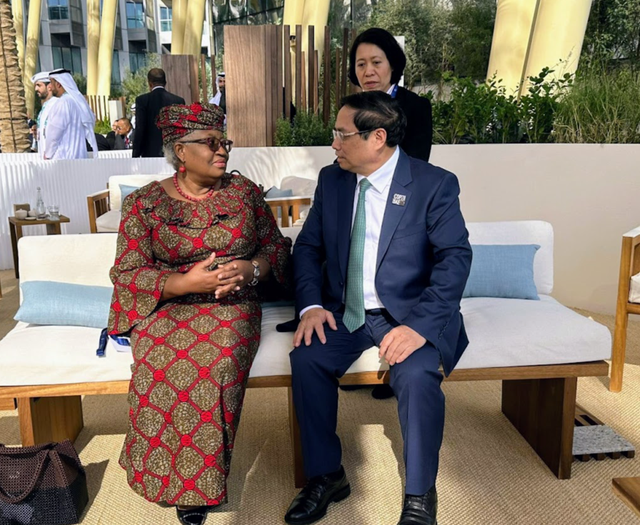 Thủ tướng gặp Tổng Giám đốc WTO Ngozi Okonjo Iwalea - Ảnh: VGP/Nhật Bắc