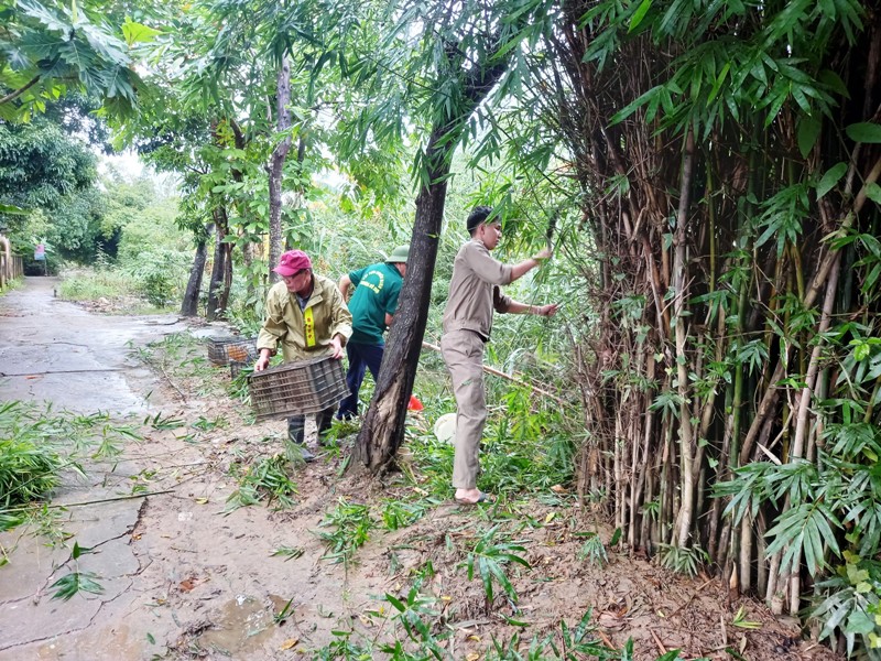 Ban cán sự Tổ