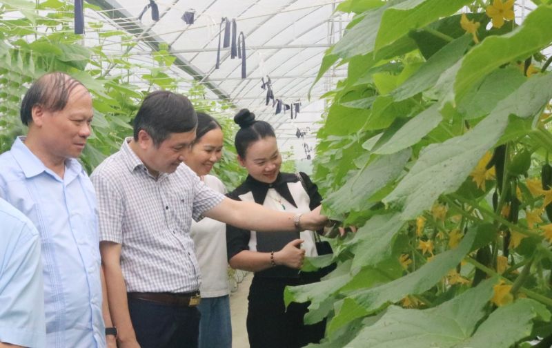 Lãnh đạo Ban Quản lý An toàn thực phẩm tỉnh thăm Hợp tác xã Nông nghiệp sạch Phú Thịnh, huyện Gia Bình.