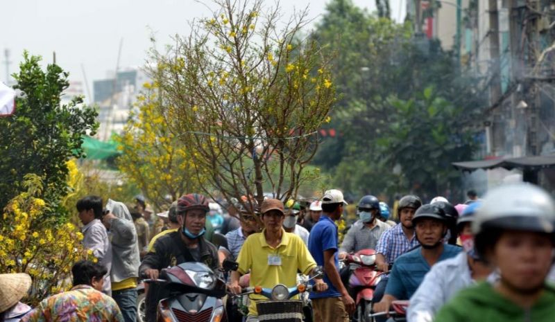 Công điện về bảo đảm trật tự, an toàn giao thông dịp Tết và Lễ hội xuân 2024. Ảnh internet.