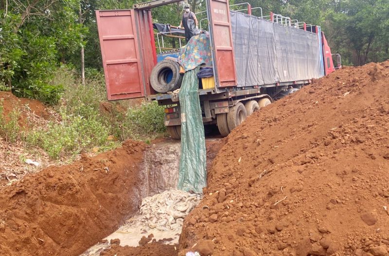Công an tỉnh Gia Lai tổ chức tiêu hủy 5,5 tấn cá tầm.