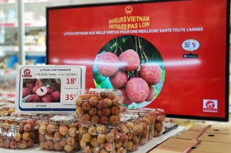 Vải thiều Thanh Hà ở kệ siêu thị của Pháp. Ảnh Cục Xúc tiến Thương mại.