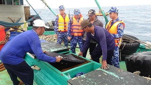 Lực lượng chức năng kiểm tra tàu cá vi phạm