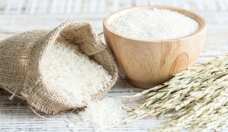 Giá lúa gạo hôm nay 11/12: Gạo xuất khẩu đi ngang