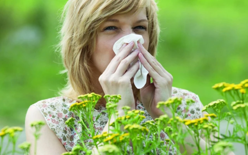 Dị ứng phấn hoa là một trong các loại dị ứng phổ biến hiện nay