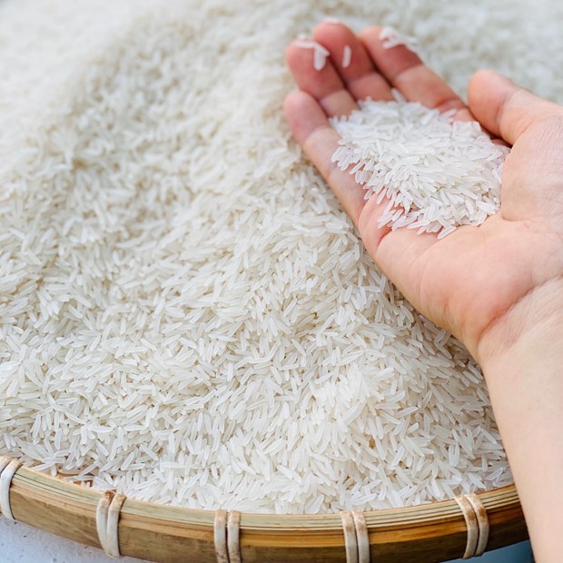 Phát triển thực chất các chuỗi giá trị lúa gạo theo hướng trách nhiệm và bền vững. Ảnh internet.