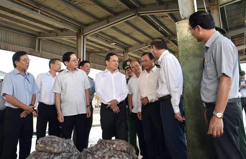 Phó Thủ tướng tham quan Cảng cá Cát Lở 2 - Ảnh: VGP/Hải Minh