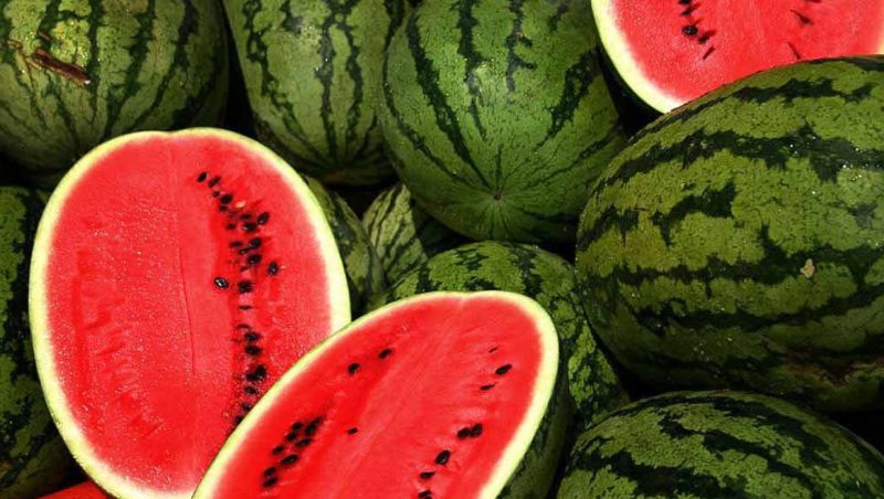 Dưa hấu Việt Nam được xuất chính ngạch sang Trung Quốc
