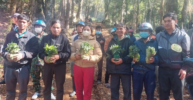 Trong chuyến công tác đến huyện Tu Mơ Rông (tỉnh Kon Tum) tháng 8/2023, Thủ tướng Phạm Minh Chính đã tặng 12.000 cây sâm giống cho 300 hộ nghèo. Ảnh: UBND Huyện Tu Mơ Rông
