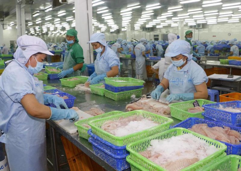 Doanh nghiệp Việt phải thích ứng như thế nào để xuất khẩu hàng hóa lĩnh vực tiềm năng sang EU? Ảnh internet.