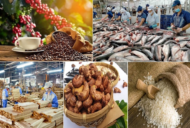 Xuất nhập khẩu năm 2024 gặp những thách thức gì? Xuất siêu nông sản là điểm sáng trong xuất nhập khẩu năm 2023 của Việt Nam. Nguồn ảnh internet.