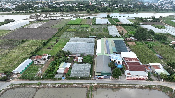 Trang trại Nho Ba Mọi, chuyên trồng Nho và sản xuất các loại sản phẩm từ Nho tại Ninh Thuận