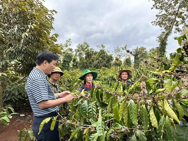 Tổng giám đốc Ngô Văn Đông (bên trái) chia sẻ với bà con nông dân Đắk Lắk trong một chuyến công tác tại Tây Nguyên