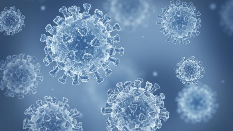 Bộ Y tế ghi nhận biến thể JN.1 của virus SARS-CoV-2 tăng nhanh trên toàn cầu
