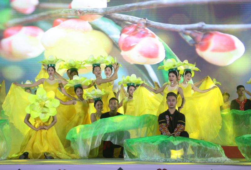 Tiết mục nghệ thuật ấn tượng ca ngợi vẻ đẹp v&agrave; gi&aacute; trị của Tr&agrave; hoa v&agrave;ng.