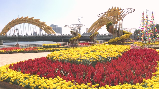 Bố trí Chợ hoa Tết Giáp Thìn 2024 xung quanh Cung Thể thao Tiên Sơn