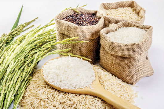 Giá lúa gạo hôm nay 29/12: Duy trì ổn định, nông dân chào bán lúa Đông Xuân giá cao