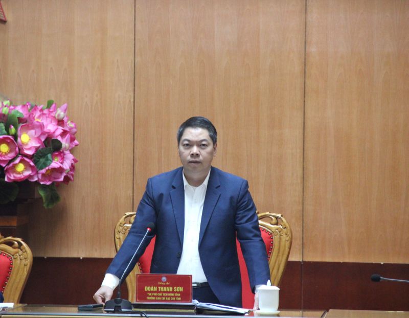 Phó Chủ tịch UBND tỉnh Lạng Sơn Đoàn Thanh Sơn, Trưởng Ban Chỉ đạo 389 tỉnh Lạng Sơn phát biểu kết luận