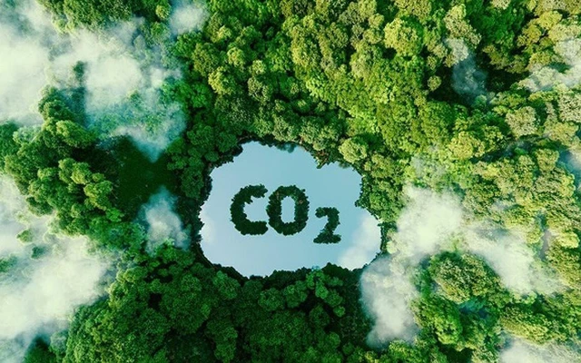 Tín chỉ carbon rừng được tạo ra từ các hoạt động dự án giảm phát thải nhà kính. (Ảnh minh họa)