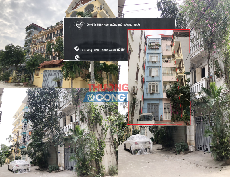 Thương hiệu Thủy sản Duy Nhất và chuyện kinh doanh bất động sản