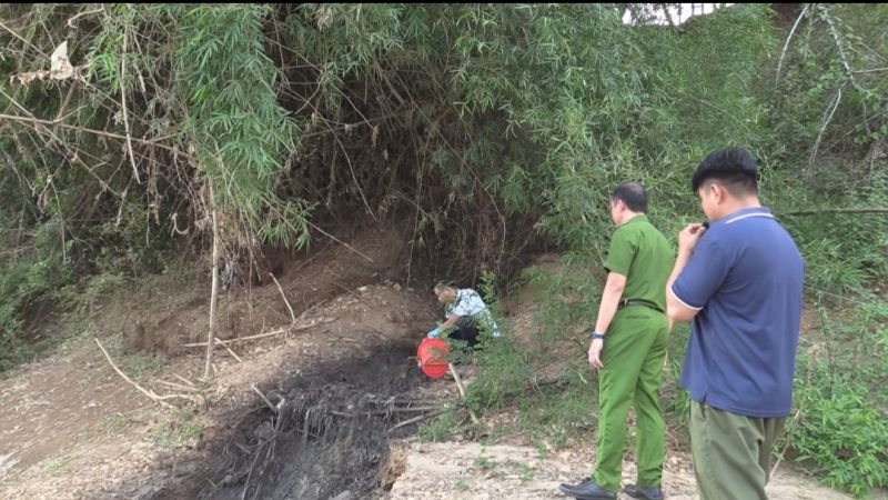 Phát hiện trang trại heo xả thải trực tiếp ra sông Bé tại Bình Dương