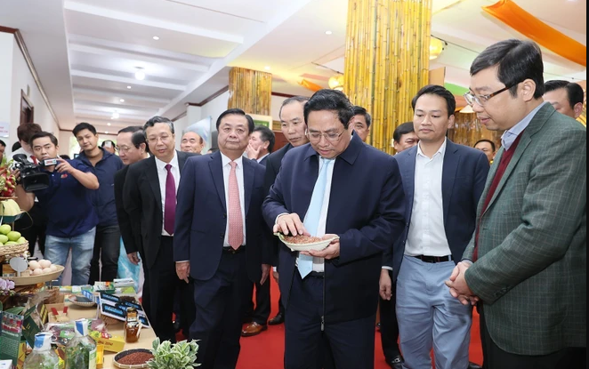 Thủ tướng Phạm Minh Chính tham quan các sản phẩm nông nghiệp. (Ảnh: Dương Giang/TTXVN)