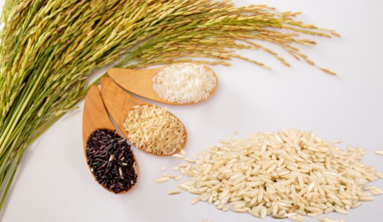 Giá lúa gạo hôm nay 7/1: Xu hướng đi ngang