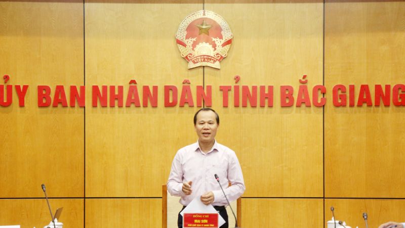 đồng chí Mai Sơn, Phó Chủ tịch Thường trực UBND tỉnh Bắc Giang, Trưởng Ban tổ chức Tuần Văn hóa - Du lịch năm 2024 phát biểu chỉ đạo tại hội nghị.