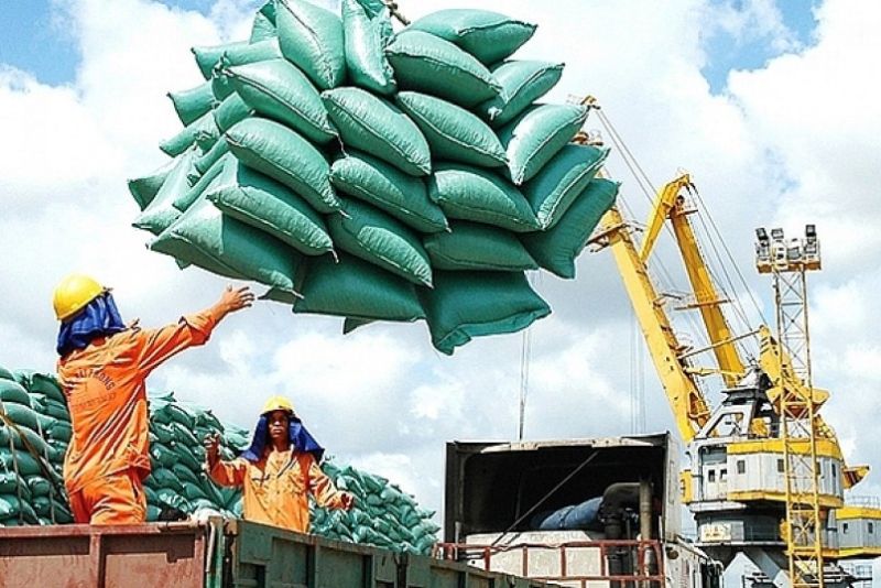 Vì sao, xuất khẩu gạo đạt kỷ lục gần 8,3 triệu tấn và 4,78 tỷ USD? Ảnh internet.