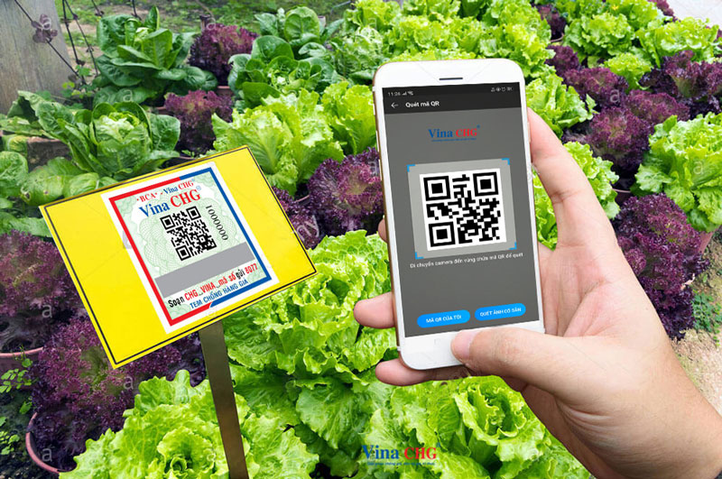 Truy xuất nguồn gốc hàng hóa là công cụ bảo vệ hữu hiệu cho nhà sản xuất và người tiêu dùng?