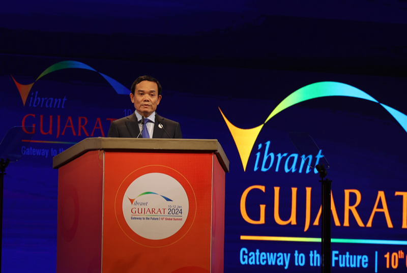 Phó Thủ tướng Trần Lưu Quang phát biểu tại Hội nghị Thượng đỉnh Gujarat toàn cầu đầy sức sống - Ảnh: VGP/Hải Minh