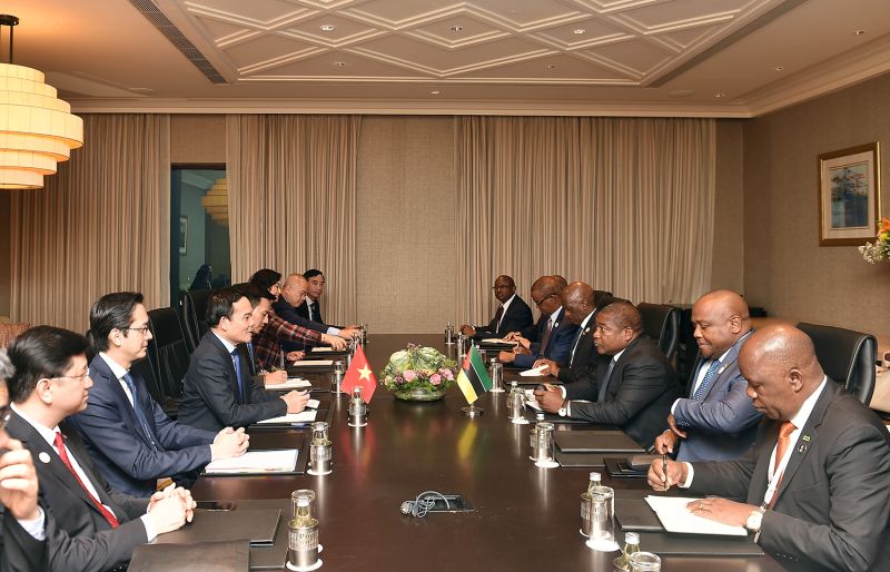 Phó Thủ tướng Trần Lưu Quang hội kiến Tổng thống Mozambique Filipe Jacinto Nyusi - Ảnh: VGP/Hải Minh