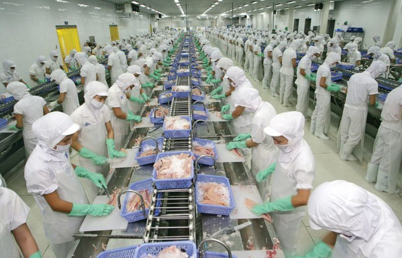 Cổ đông Vĩnh Hoàn (VHC) sắp nhận thêm 20% cổ tức tiền mặt sau khi vừa nhận 20% bằng cổ phiếu