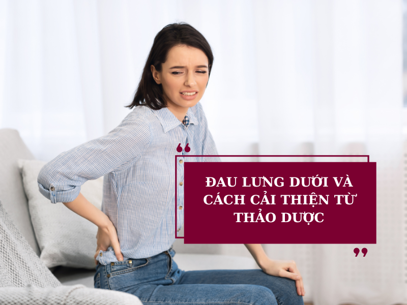 Nguyên nhân đau lưng dưới gần mông và giải pháp cải thiện từ Cốt Thoái Vương